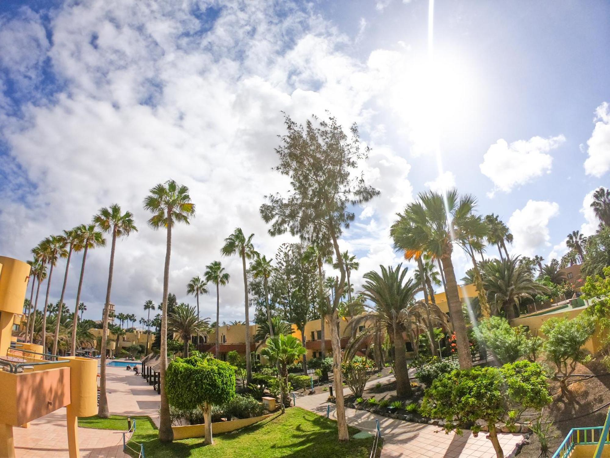 קורלחו Drago 1 Atlantic Garden Apartment מראה חיצוני תמונה