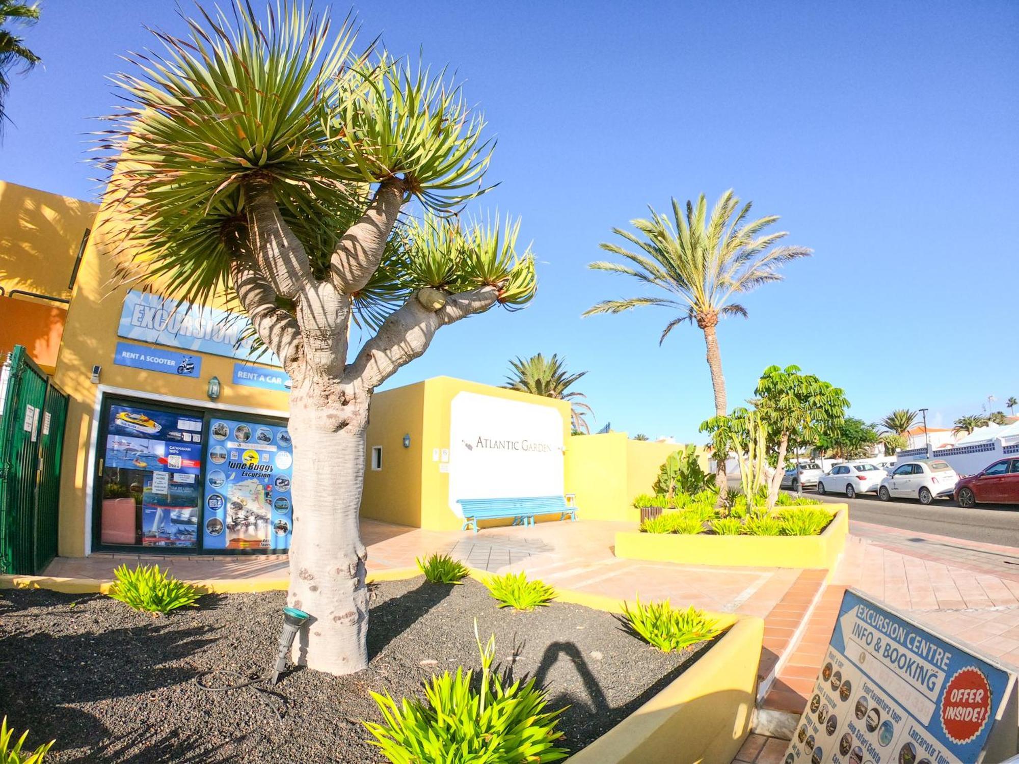 קורלחו Drago 1 Atlantic Garden Apartment מראה חיצוני תמונה